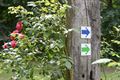 Leerrijke en smakelijke wandeling