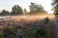 Ten Haagdoornheide in Houthalen-Helchteren