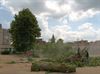 Ook bomen weg voor serviceflats