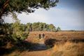 Vandaag in de Blekerheide