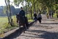 Geweldig wandelweer lokt veel volk naar buiten