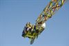 Kermis in het Centrum