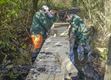 Plankenpad bij Abeek wordt hersteld
