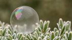 Spelen met zeepbellen