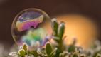 Spelen met zeepbellen