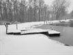 De Bever in de sneeuw