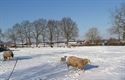 Genieten van de sneeuw...