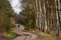 Vandaag in de Blekerheide