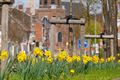 Lente, als teken van nieuw leven