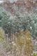 Prachtige winterlandschappen