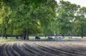 Weer wat zondagse natuurbeelden