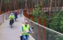 Okra Koersel fietst door de bomen