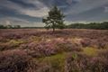 Wandeling rond 'de put' aan het Parelstrand