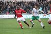 Gelijkspel voor Lommel United