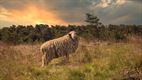 Bosland in Beeld: uitslag fotowedstrijd