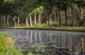 Weerspiegelende natuur