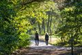 Prachtig herfst- en wandelweer