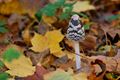 Gouden kleuren van de herfst