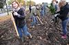 Samen bomen planten, ja gezellig