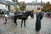 Dierenzegening in SHLille