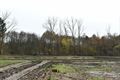 Vijvergebied Geneberg hervormd tot natuur