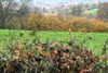 Met de groeten uit... Val-Dieu