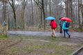 Wandelend Paal wandelt in Koersel