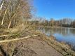 Stormschade wordt opgemeten, veel omgevallen bomen