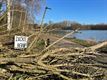 Stormschade wordt opgemeten, veel omgevallen bomen