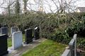 Stormschade wordt opgemeten, veel omgevallen bomen