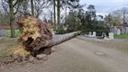 Boom vernielt enkele graven in Stal