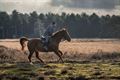 Een 'beestige' zondagochtend