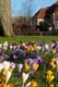 Lente in Beringen