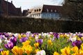 Lente in Beringen