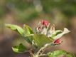 Weer wat natuur op zondag