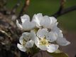 Weer wat natuur op zondag