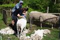 Veel volk op opendeur Stalse Schans