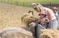 Babyfestival doet zorgboerderij aan