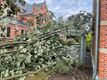 Boom valt op kerk Tervant