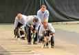 Wereldkampioenschap 'Flyball'