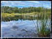 Groene wandelroute Koersel