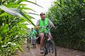 Okra Koersel fietst door de maïs