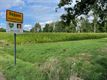 Natuurpunt wil samen met boeren wilgen kweken