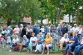 Blues in het Park