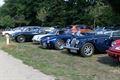 Oldtimers houden halt bij Blueberry Fields