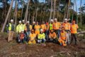 Natuurbeheer onder hoogspanningslijn