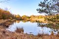 Schitterende herfstwandeling Milieu 2000