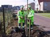 Nieuwe bomen in de Kasteeldreef