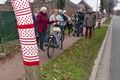 Bomen 'aangekleed' met 600 bollen garen