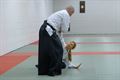 Aikido Koersel